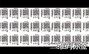 壹定发A-1喷码平台一体机Technical Parameters